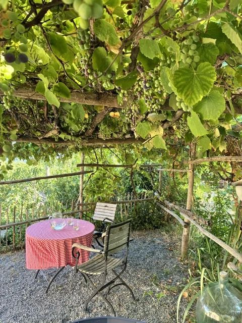 Tafel onder de druivenpergola